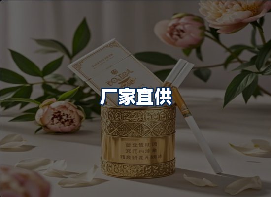 专业团队办公环境